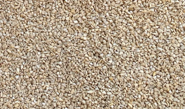 Sunflower kernels - chips