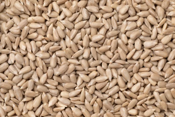 Sunflower kernels - confection
